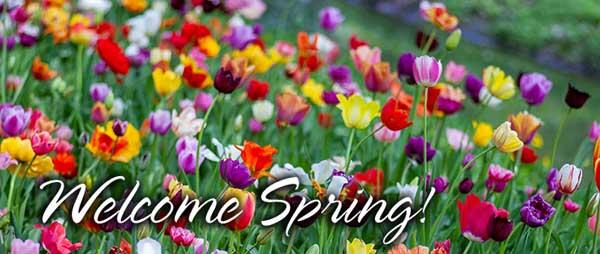 Welcome Spring with flowers in the background.